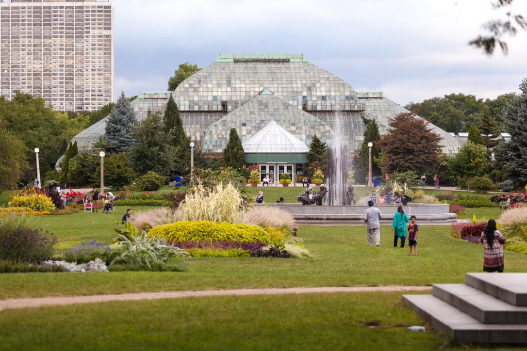 Lincoln Park -