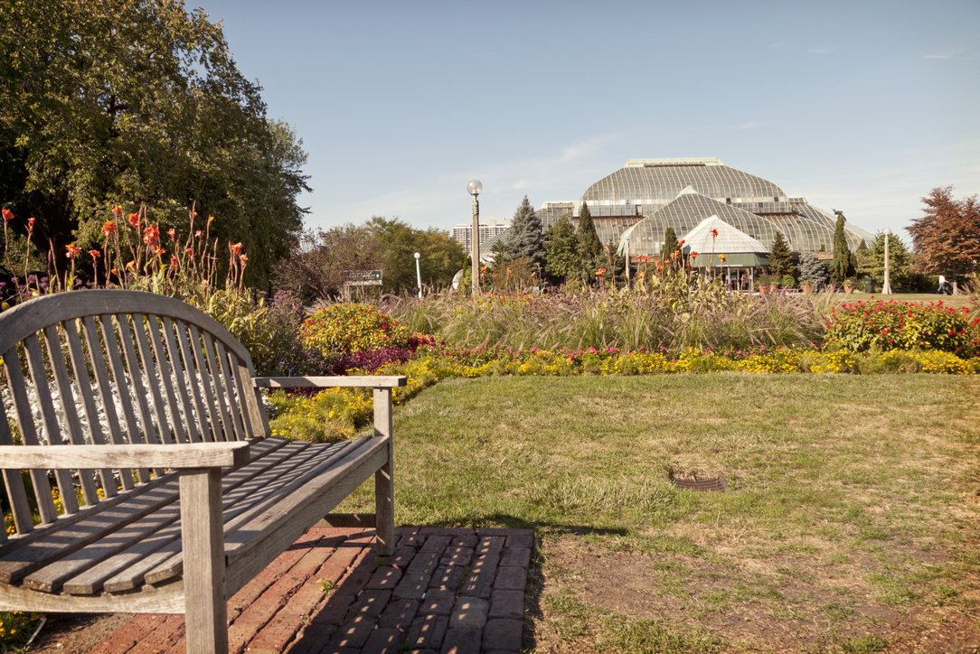 Lincoln Park -
