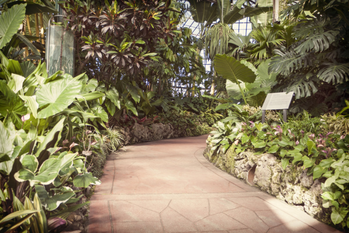 Lincoln Park -