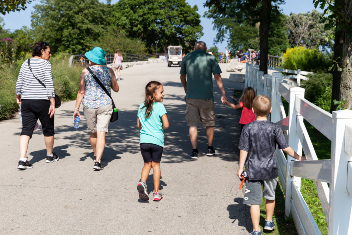 Lincoln Park -