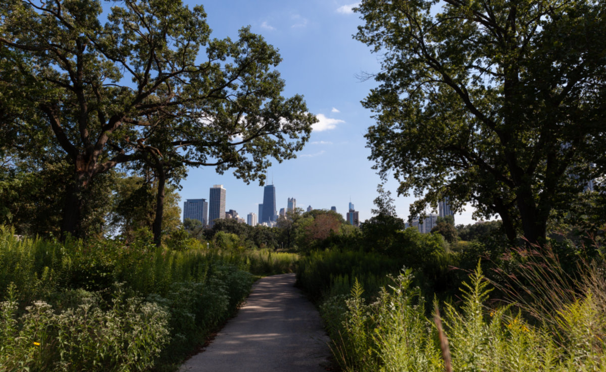 Lincoln Park -