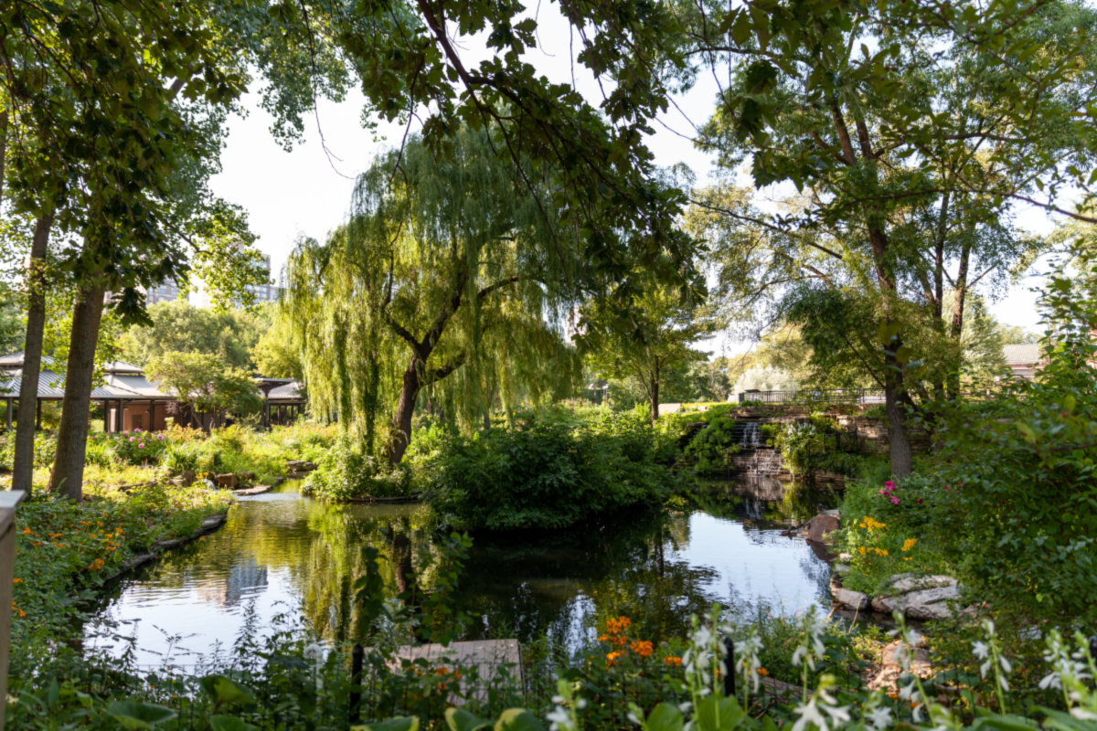 Lincoln Park -