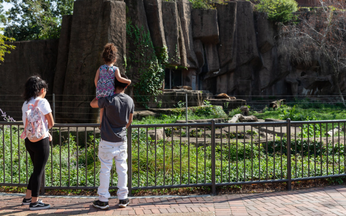 Lincoln Park -
