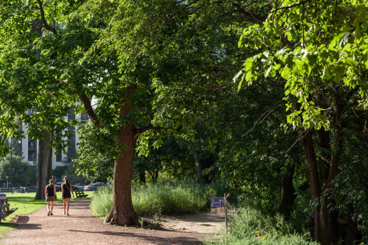 Lincoln Park -