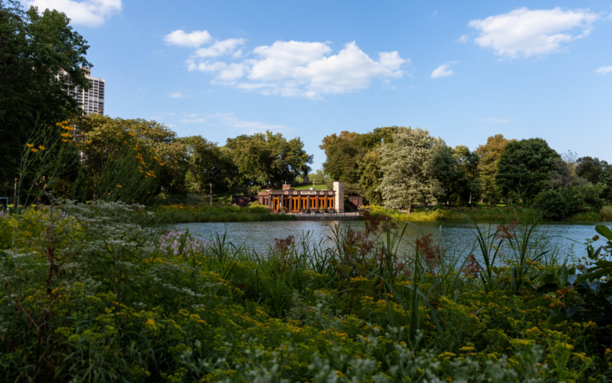 Lincoln Park -