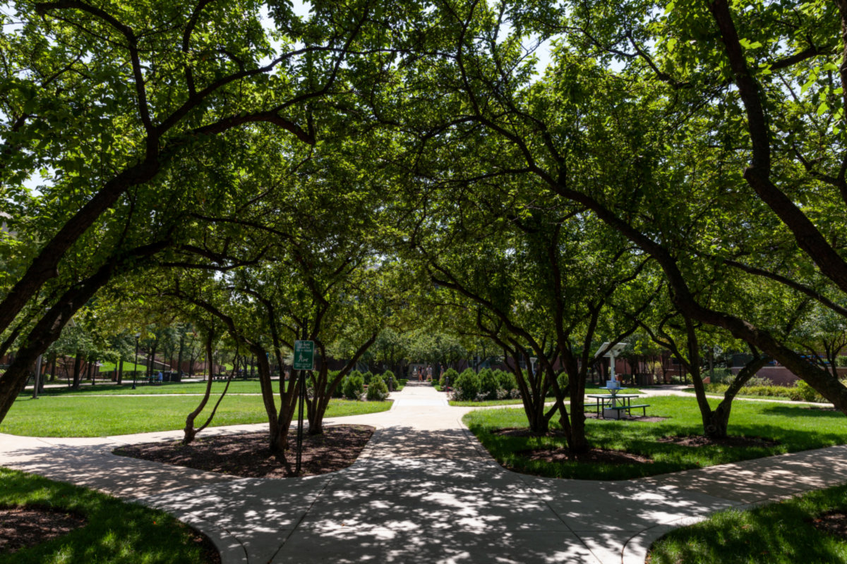 Lincoln Park -