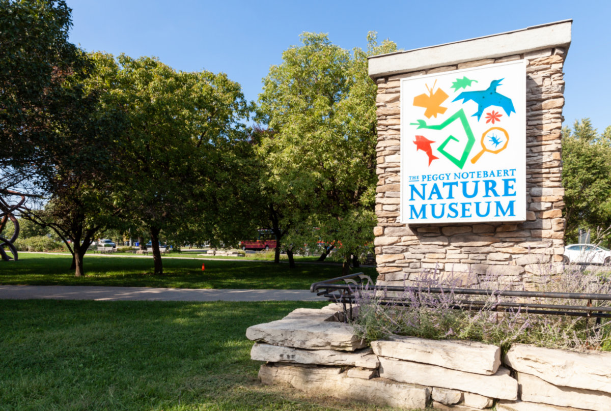Lincoln Park -