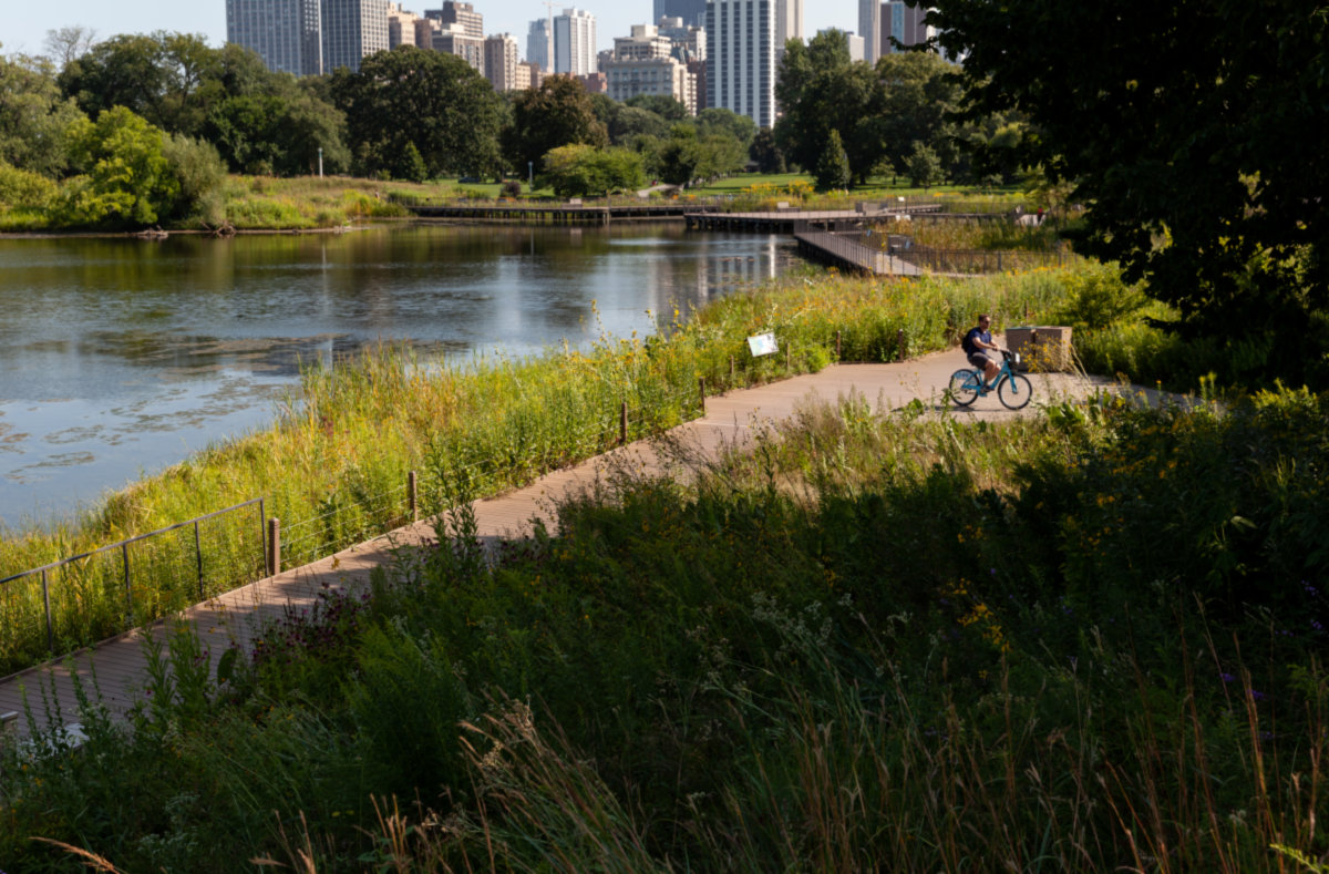 Lincoln Park -
