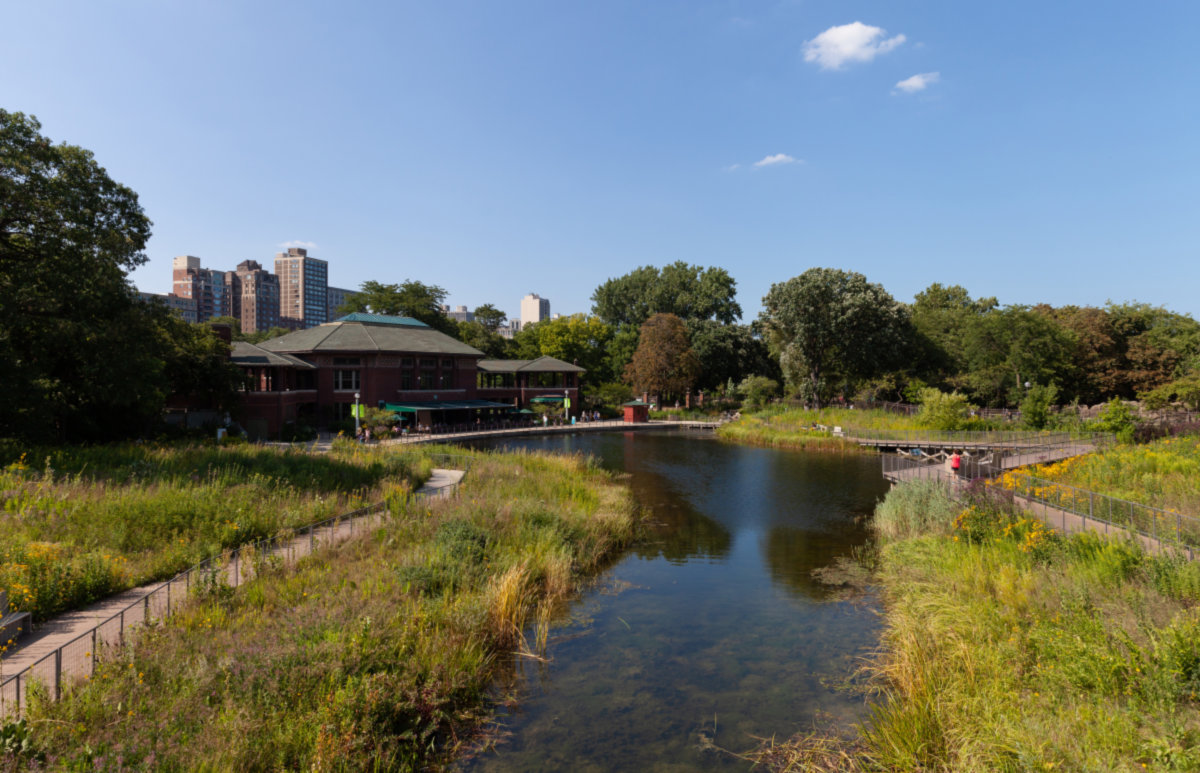 Lincoln Park -