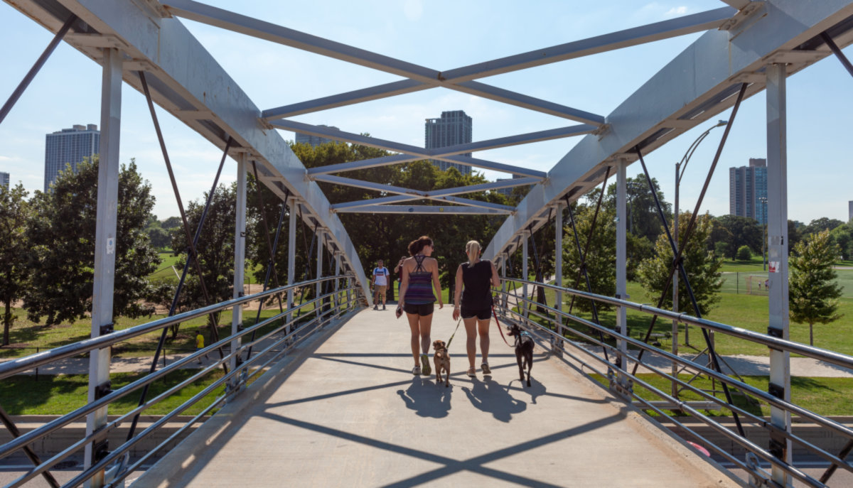 Lincoln Park -