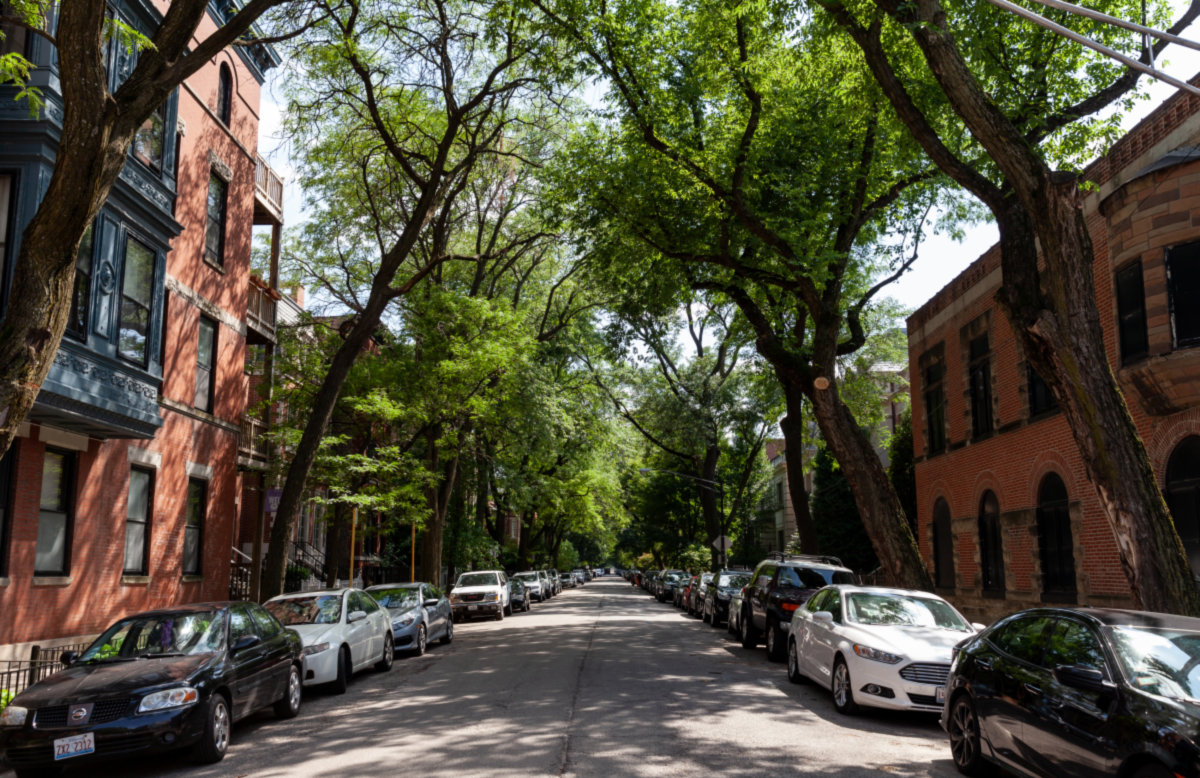 Lincoln Park -