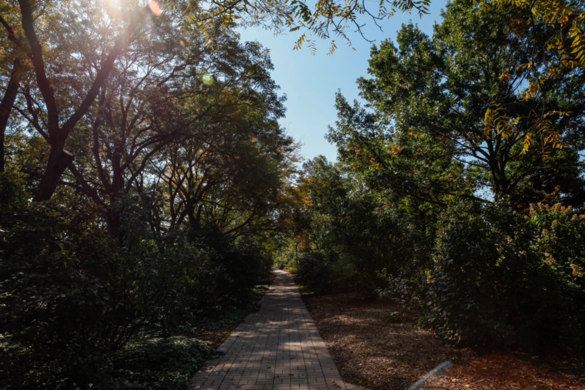 Lombard -