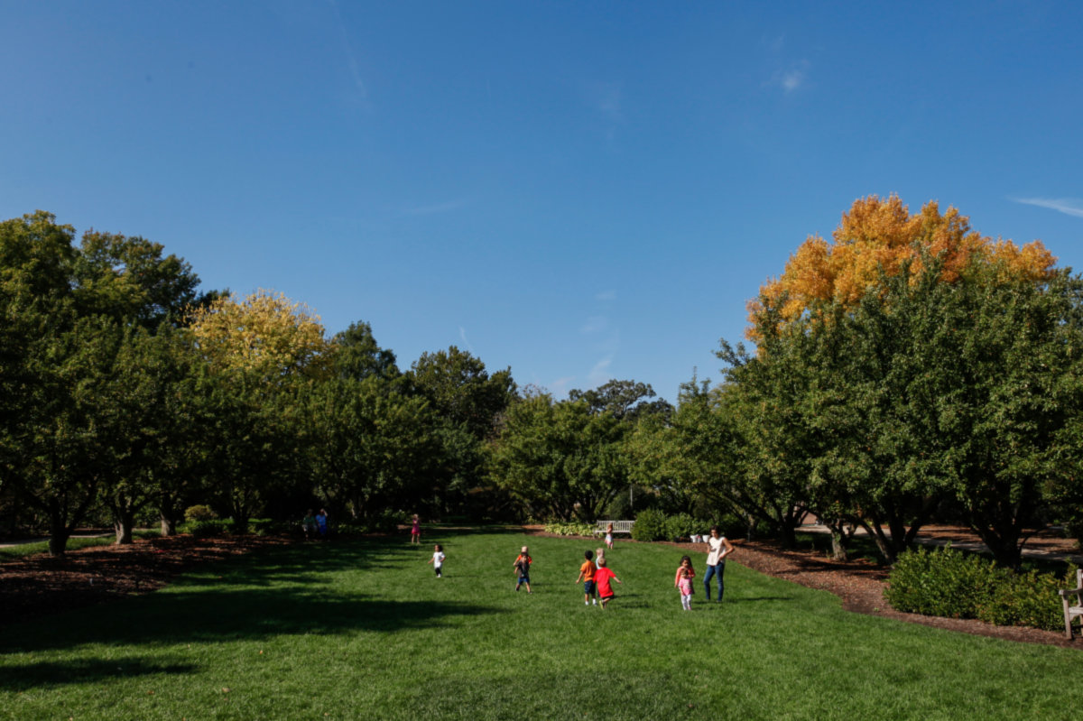 Lombard -