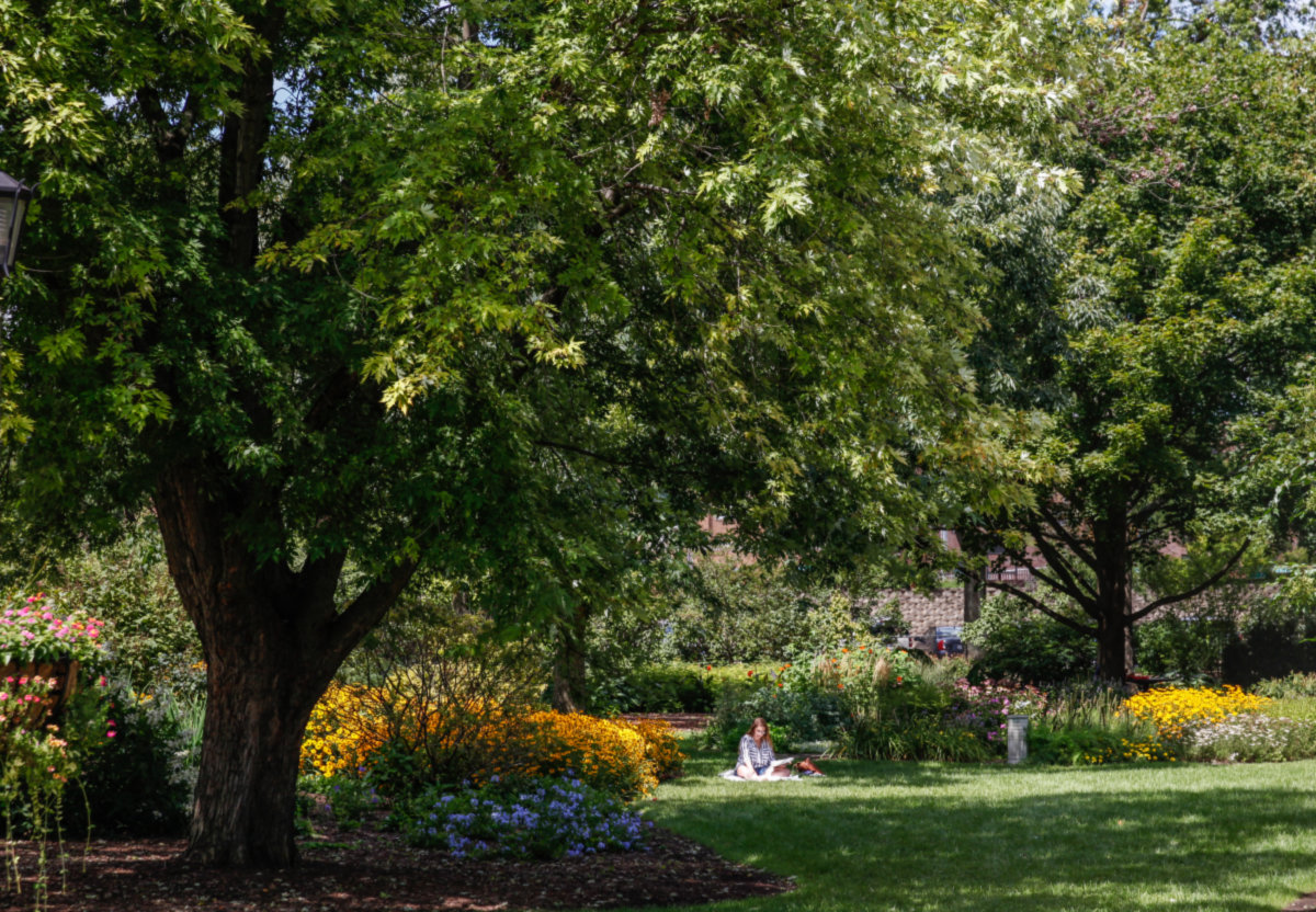 Lombard -