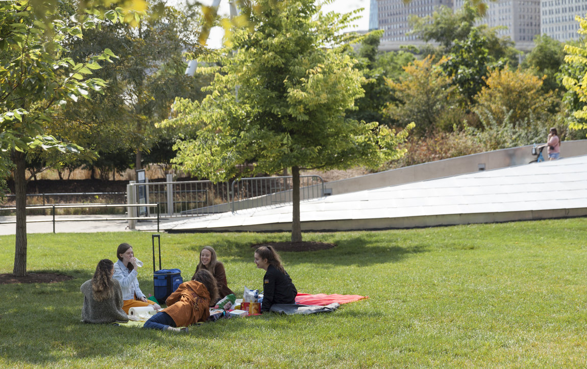 Near East Side - Maggie Daley Park