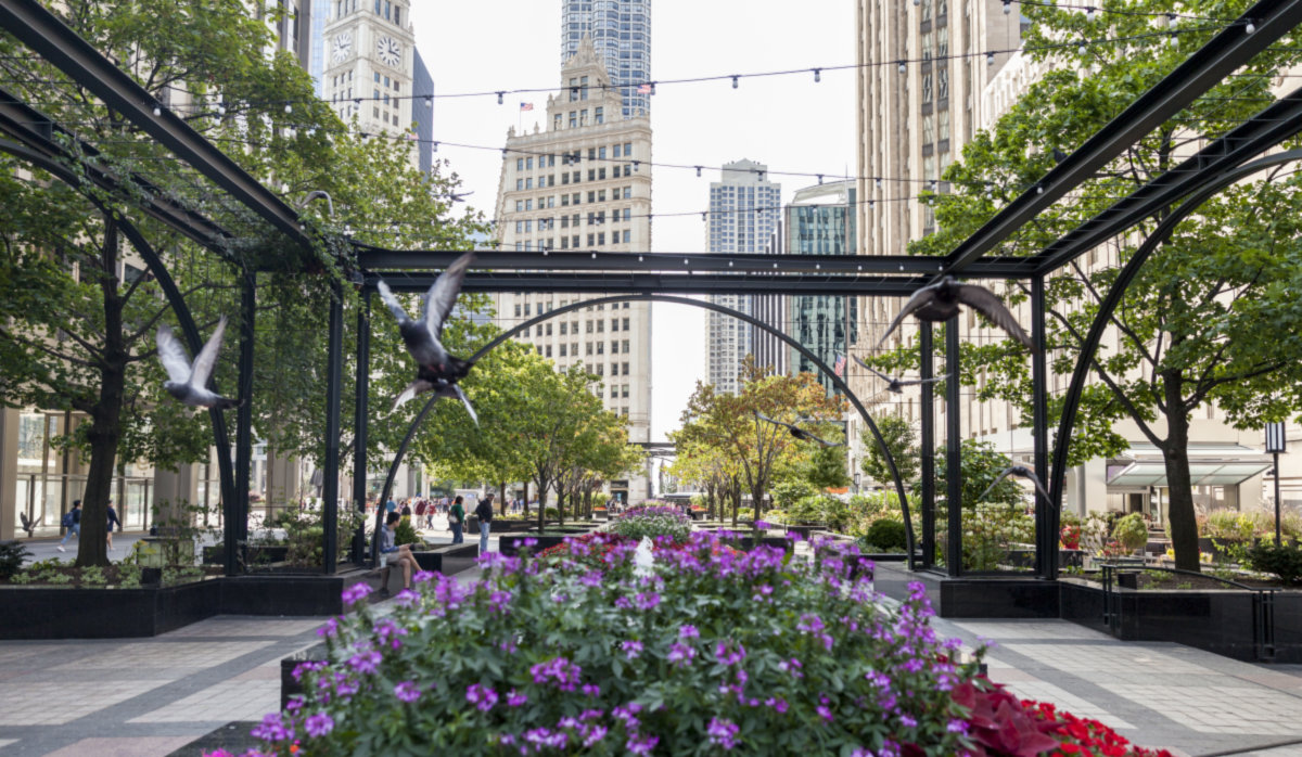 Magnificent Mile -