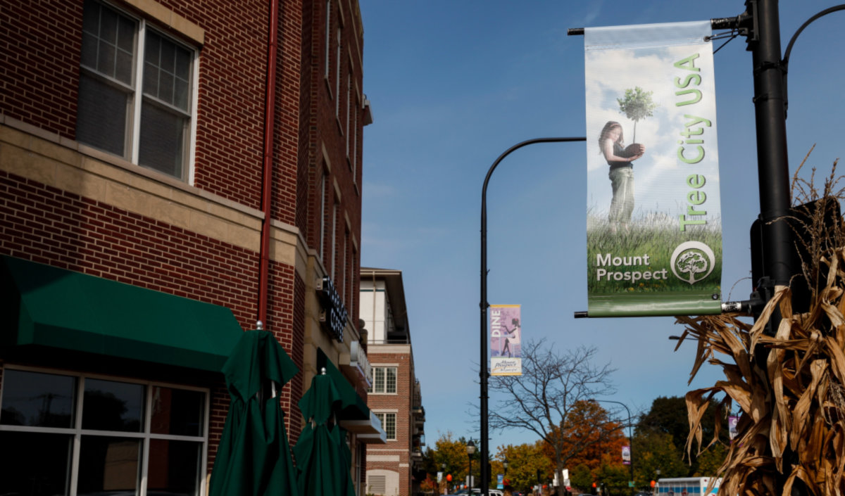 Mount Prospect -