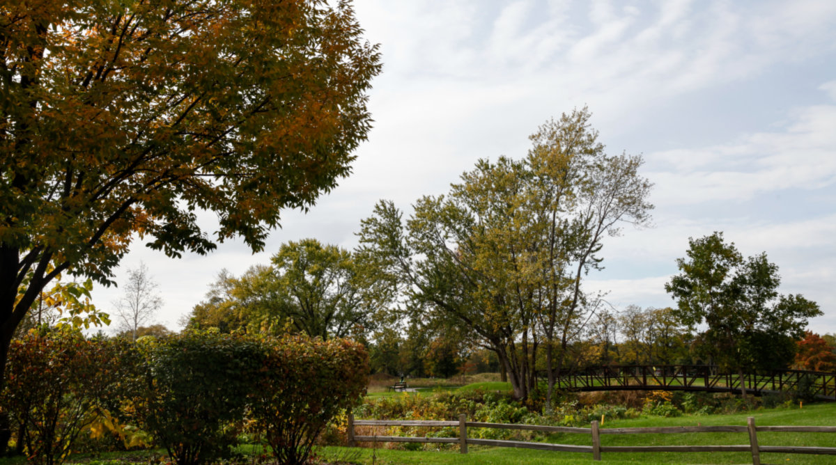 Mount Prospect -