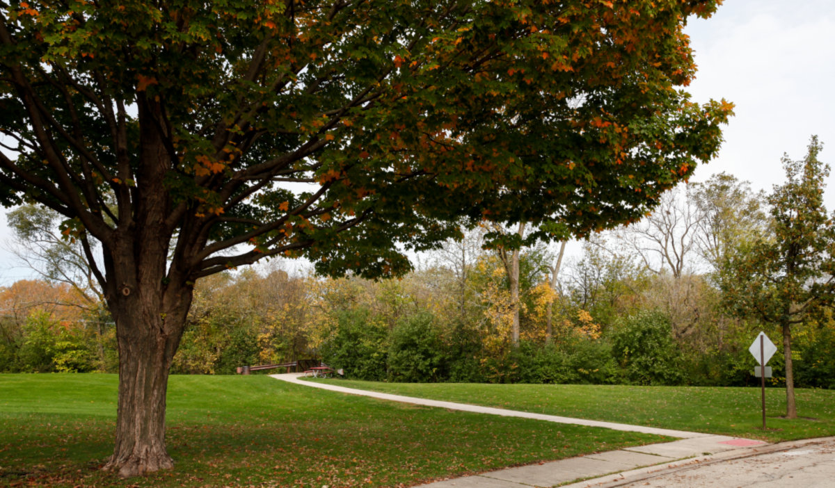 Mount Prospect -