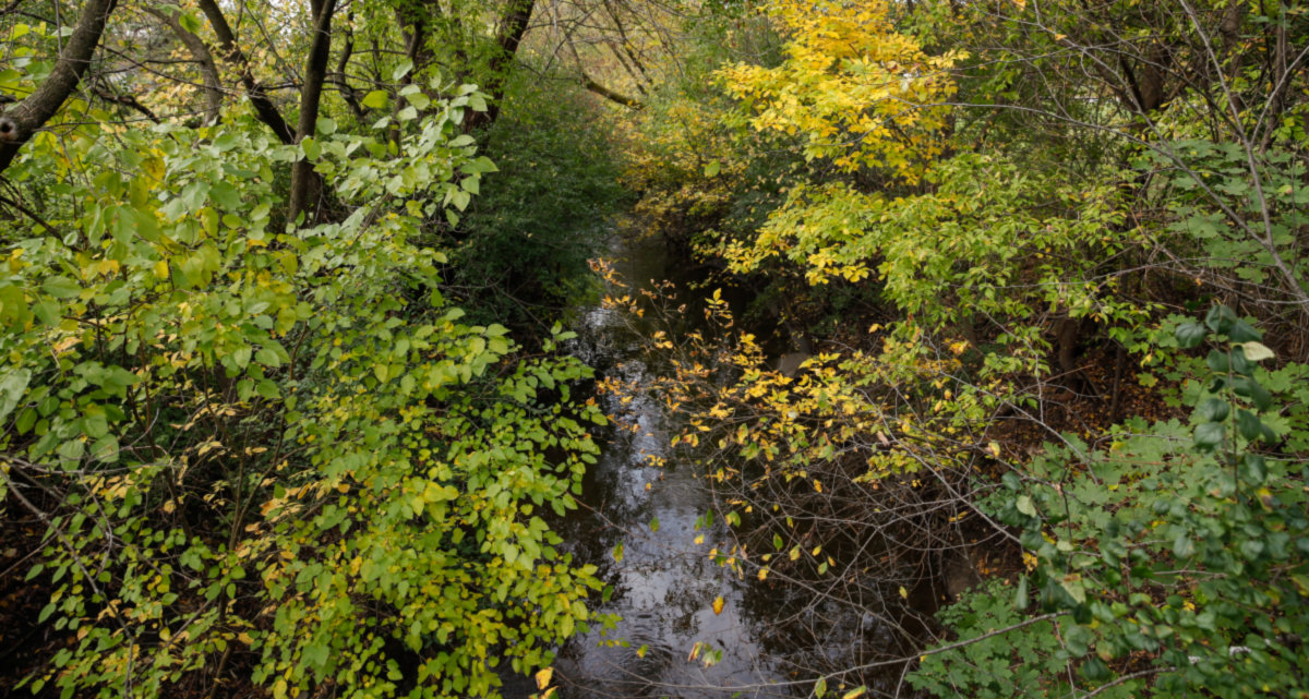 Mount Prospect -