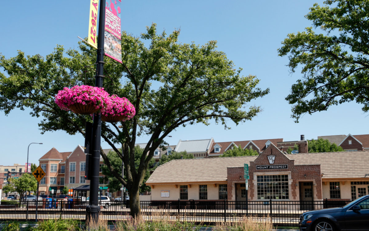 Mount Prospect -