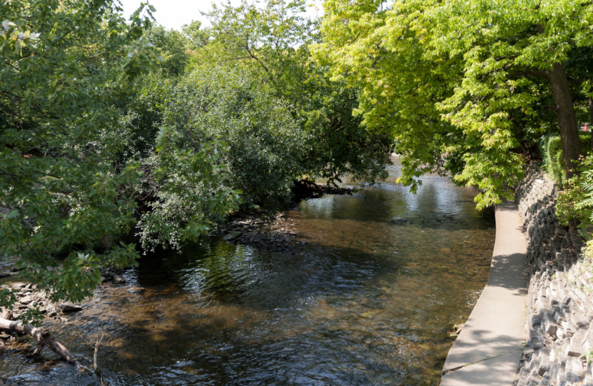 Naperville -