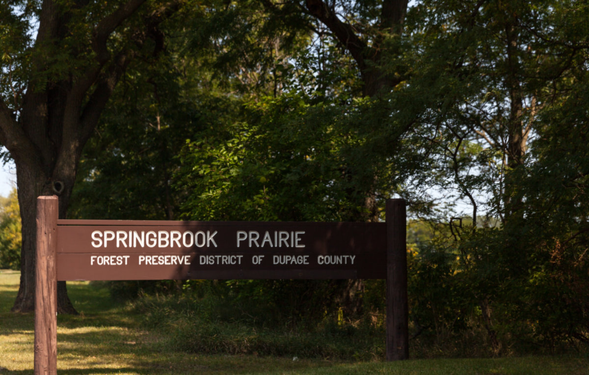 Naperville -