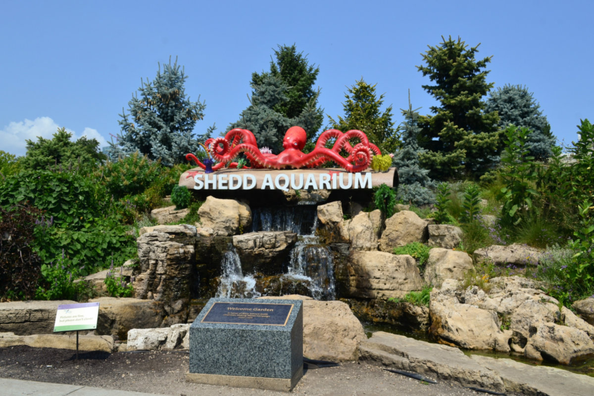 Dearborn Park -