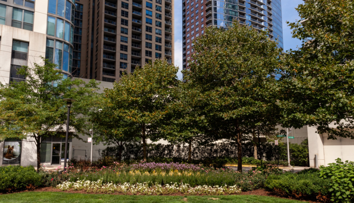 New East Side -