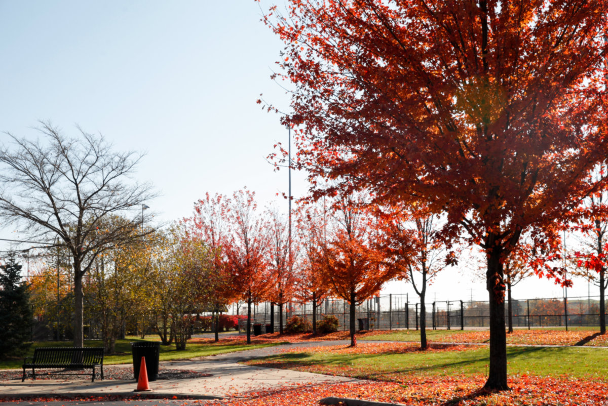 Northbrook -