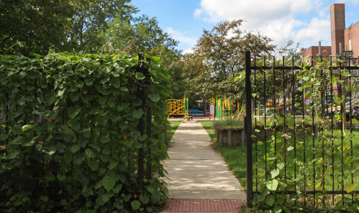 Old Irving Park -