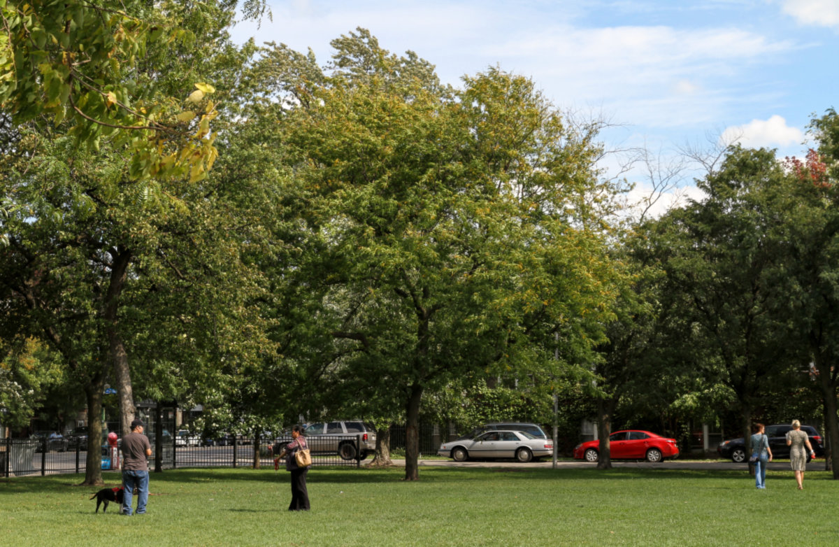 Old Irving Park -