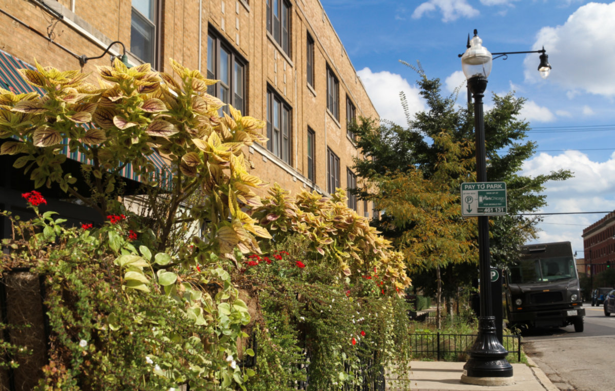 Old Irving Park -