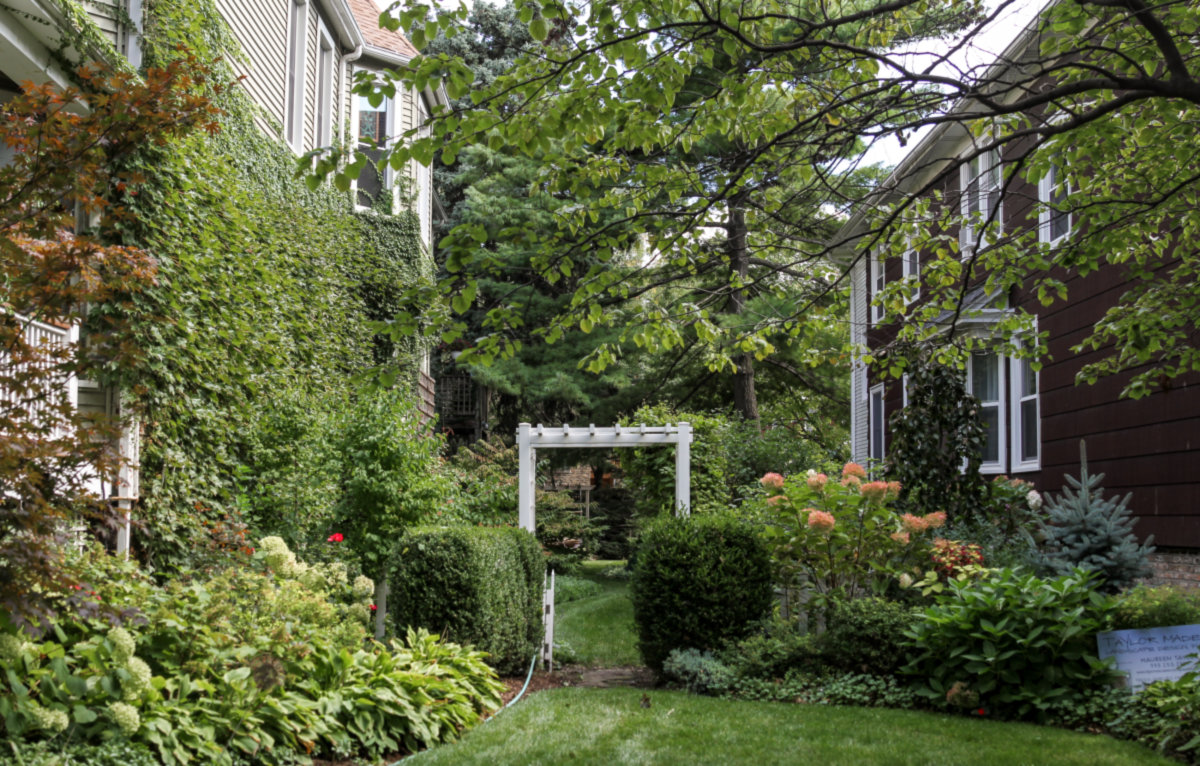 Old Irving Park -