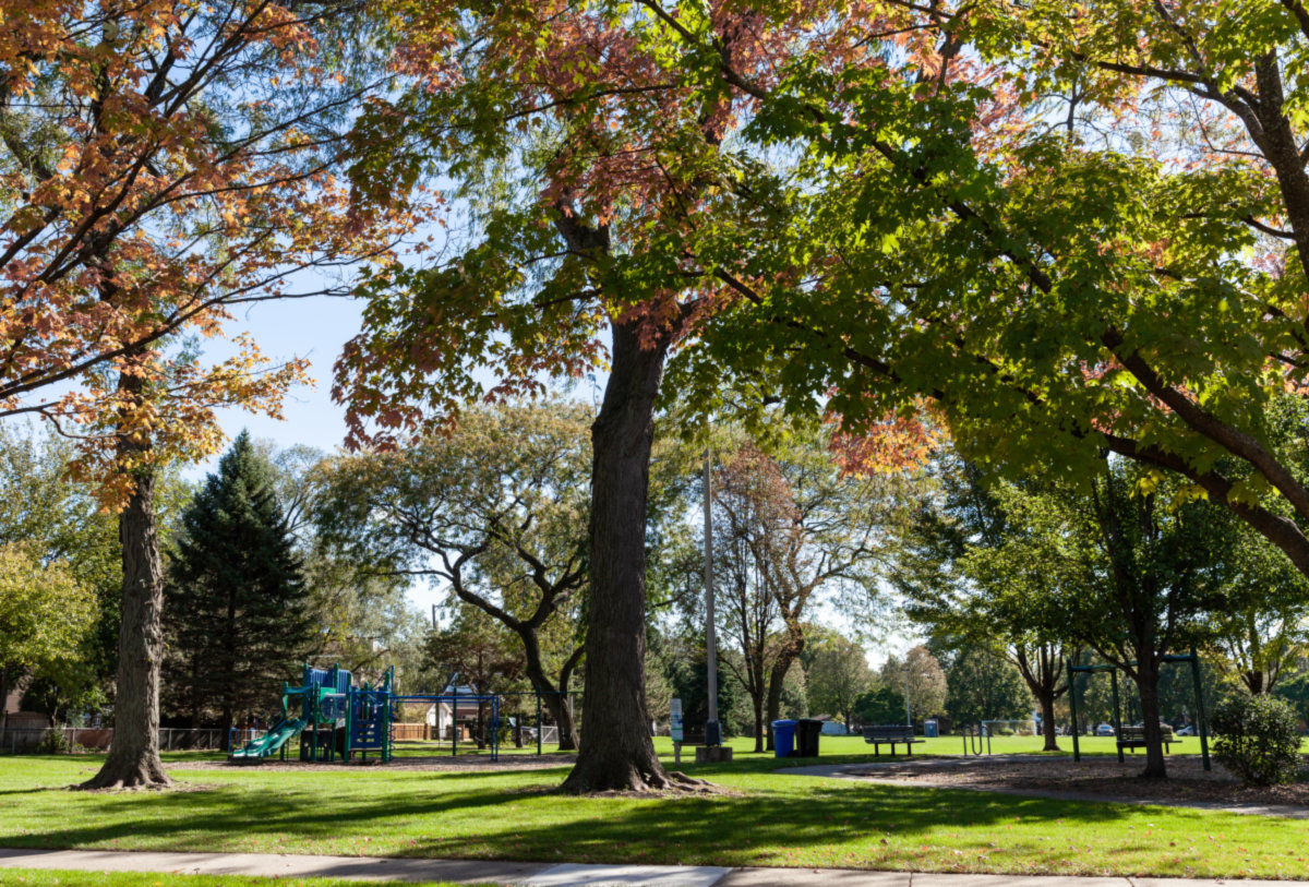 Old Norwood Park -