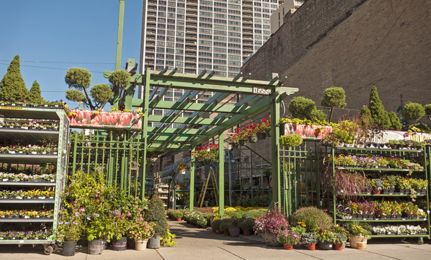 Old Town - Old Town Gardens, Old Town
