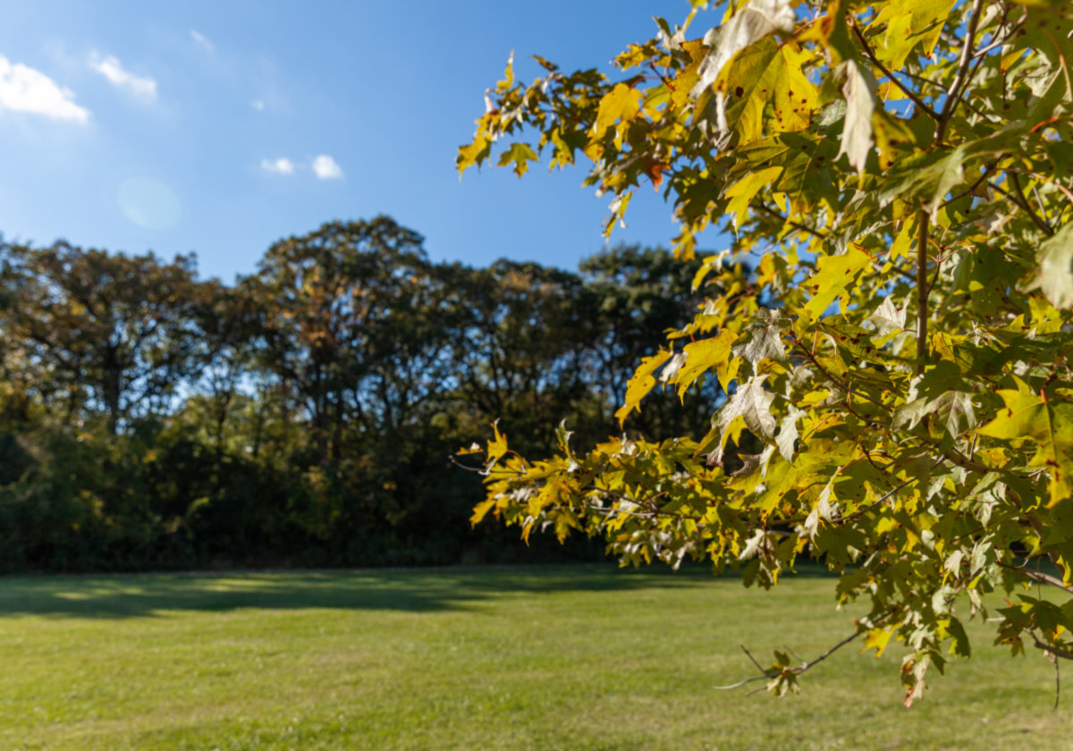 Park Ridge -