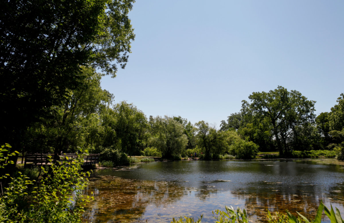 Park Ridge -