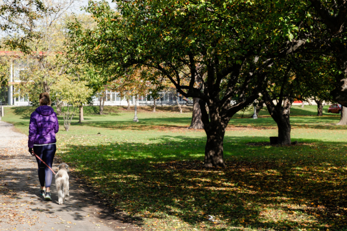 Ravenswood -
