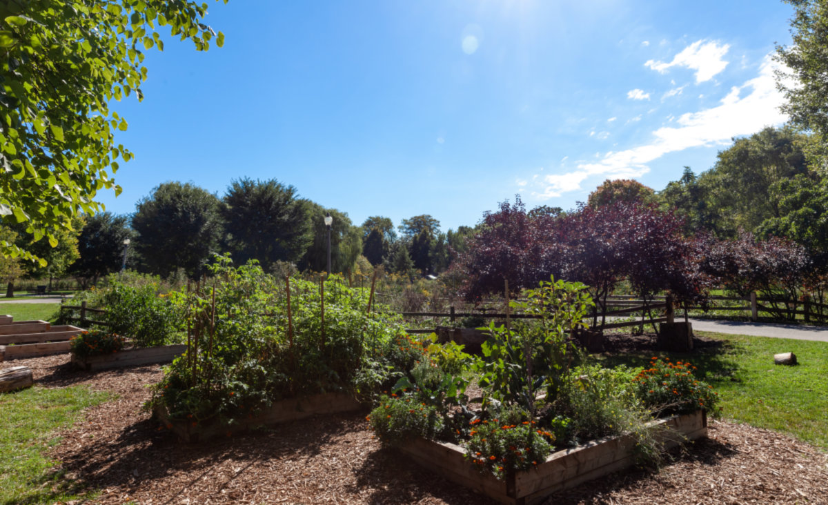 Ravenswood -