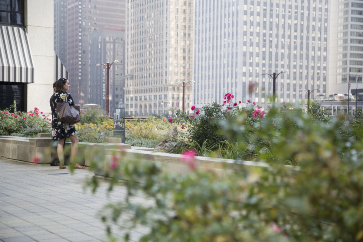 River North -