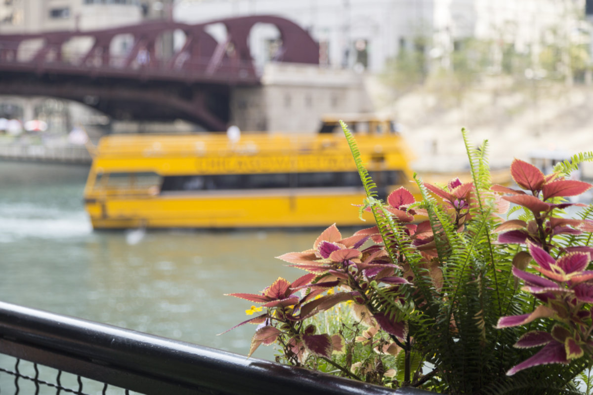 River North -