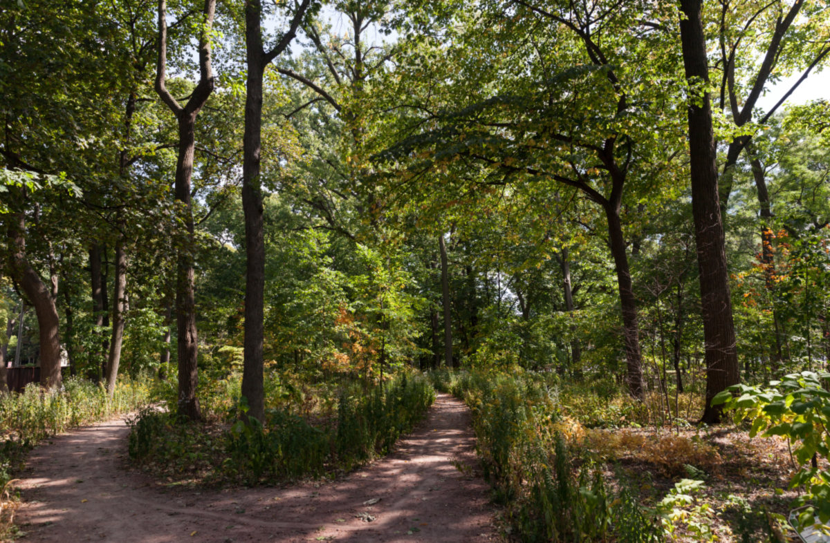 Riverwoods -